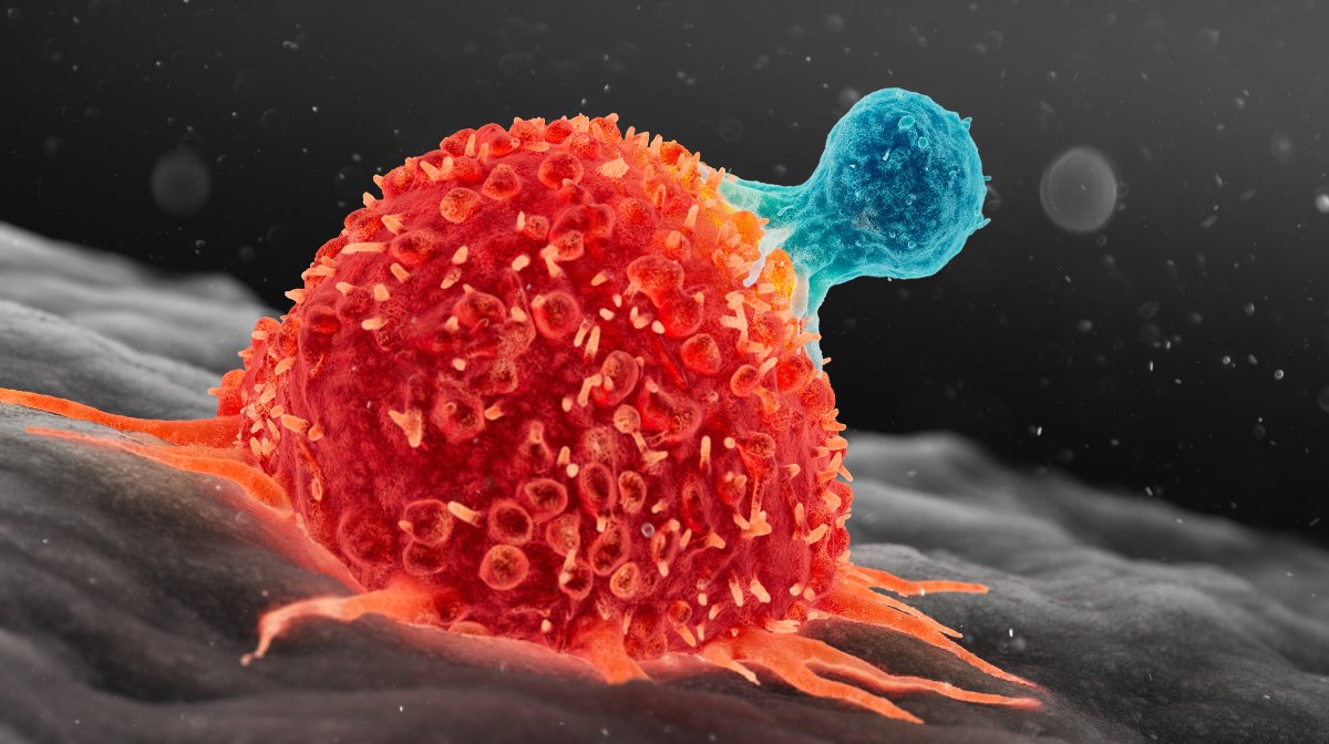 El aumento de los casos de cáncer: ¿Por qué ocurre y qué nos dicen las cifras?